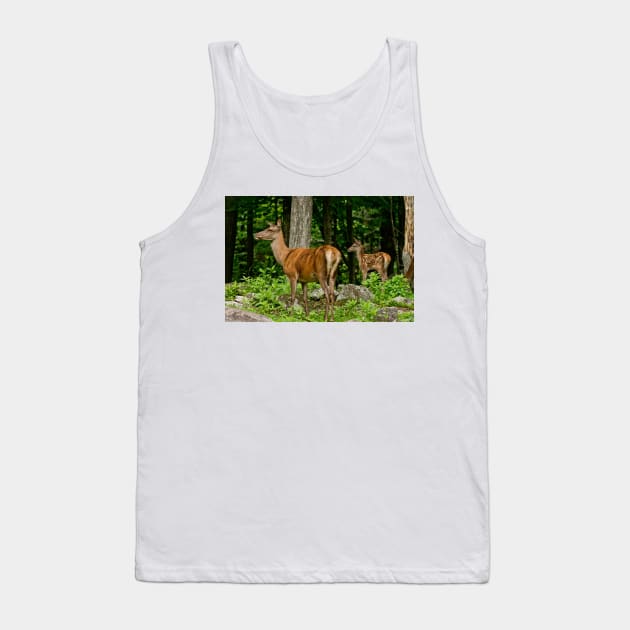 Red Deer Doe And Fawn Tank Top by jaydee1400